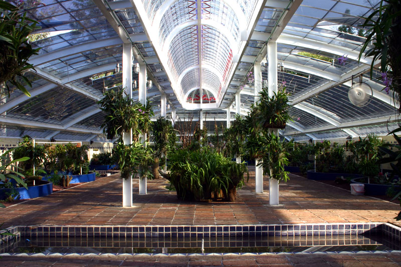 jardin-botanico