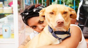 DERECHOS ANIMALES