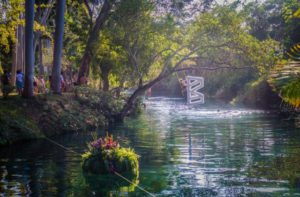 bahidora
