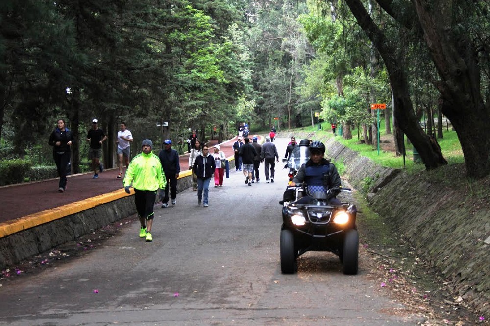 bosque-de-tlalpan_