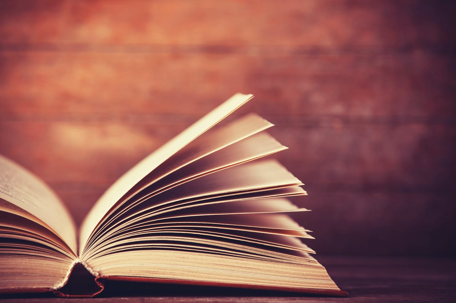 Ciudad de libros, semana 7