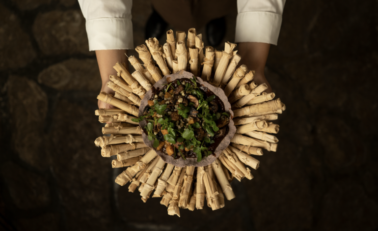 Tarumba presenta su cata de tamales: un viaje sensorial por la memoria culinaria de Chiapas